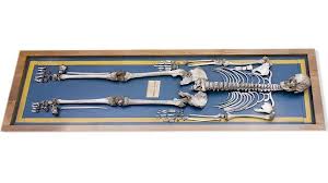 Esqueleto de Agustin Luengo y Capilla