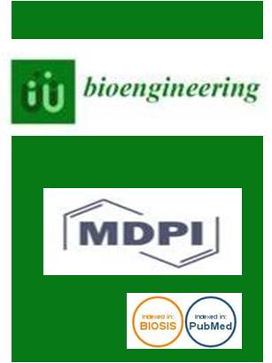 <center>Bioengineering</center>