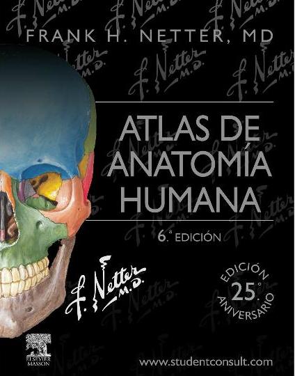 Netter. Atlas de anatomía humana. 6ª ed. 2014