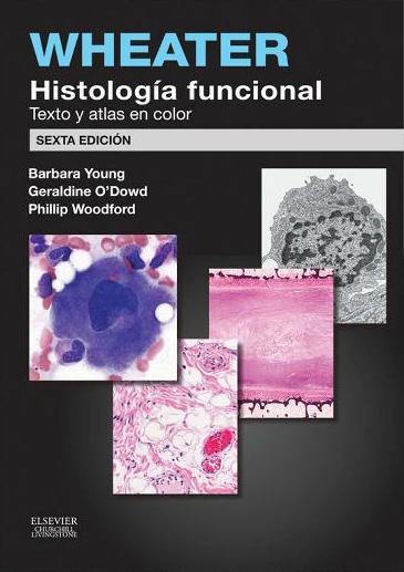 Young. Wheater's histología funcional. 6ª ed. 2014