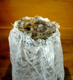 El nido de la novia 2