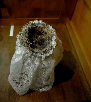 El nido de la novia 3
