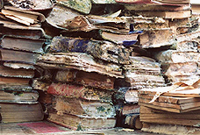 Libros infectados de hongos tras una inundacion