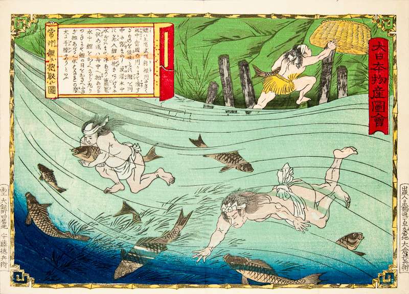 Utagawa Hiroshige III. Atrapando carpas en Hitachi