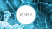 18 a 29 de octubre - Formación Extraordinaria Online de Scopus