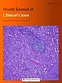World journal of clinical cases