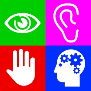  Iconos accesibilidad: vista, oído, tacto, cognición