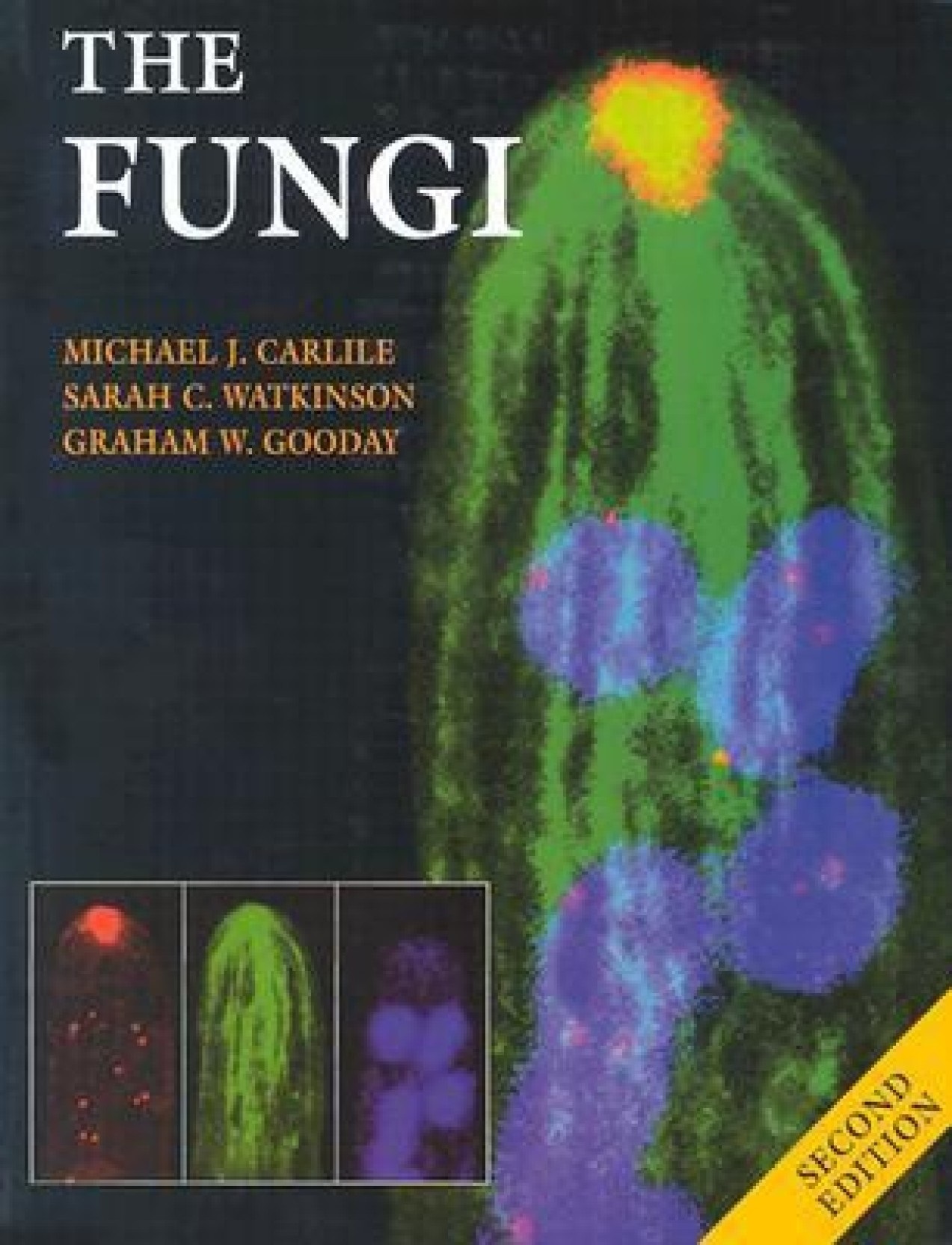 Watkinson. The fungi. 2nd ed. 2001