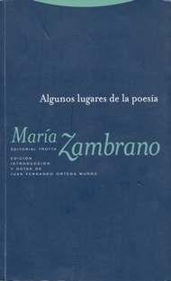 Algunos lugares de la poesía