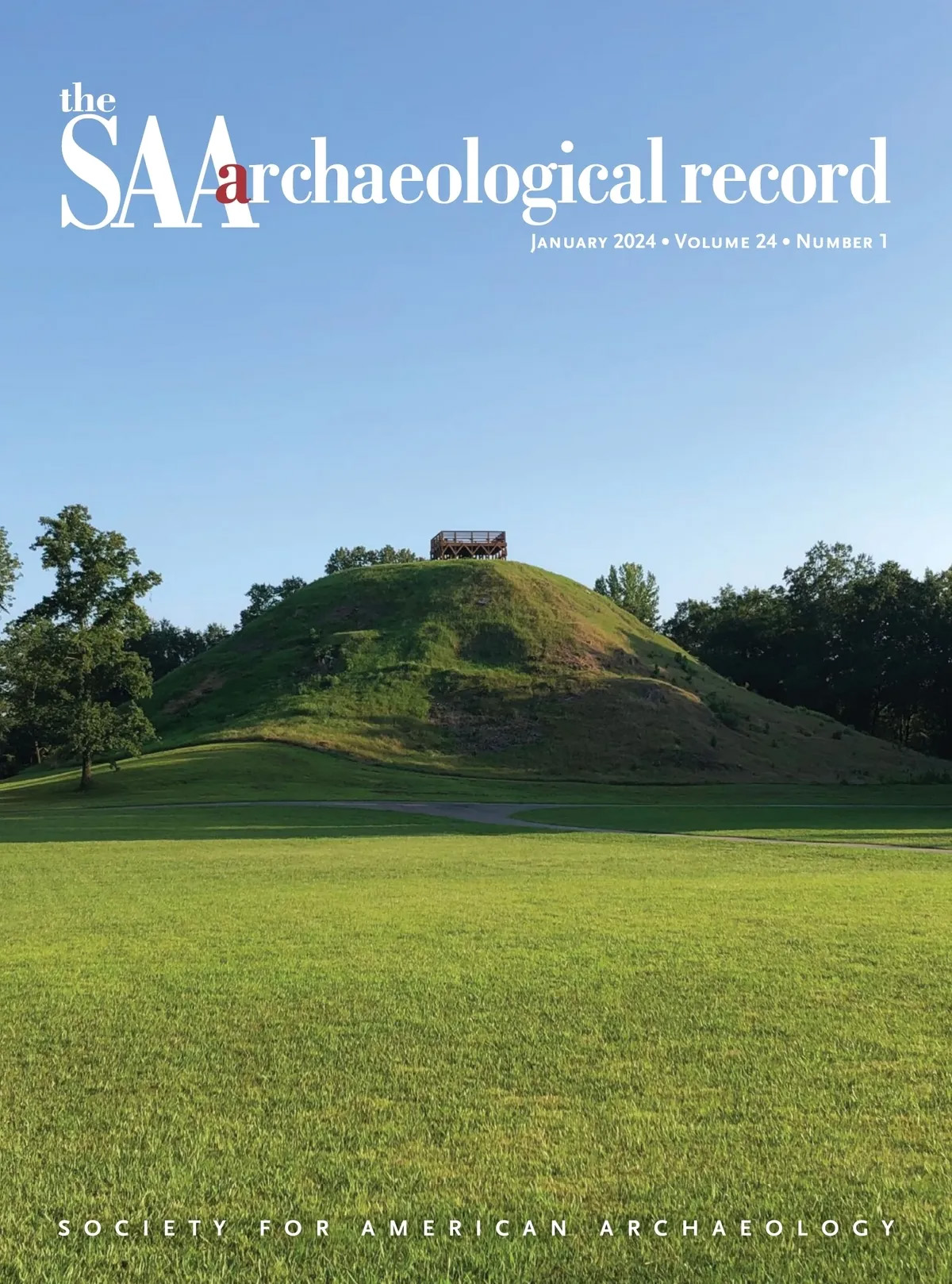 saa archaeological record