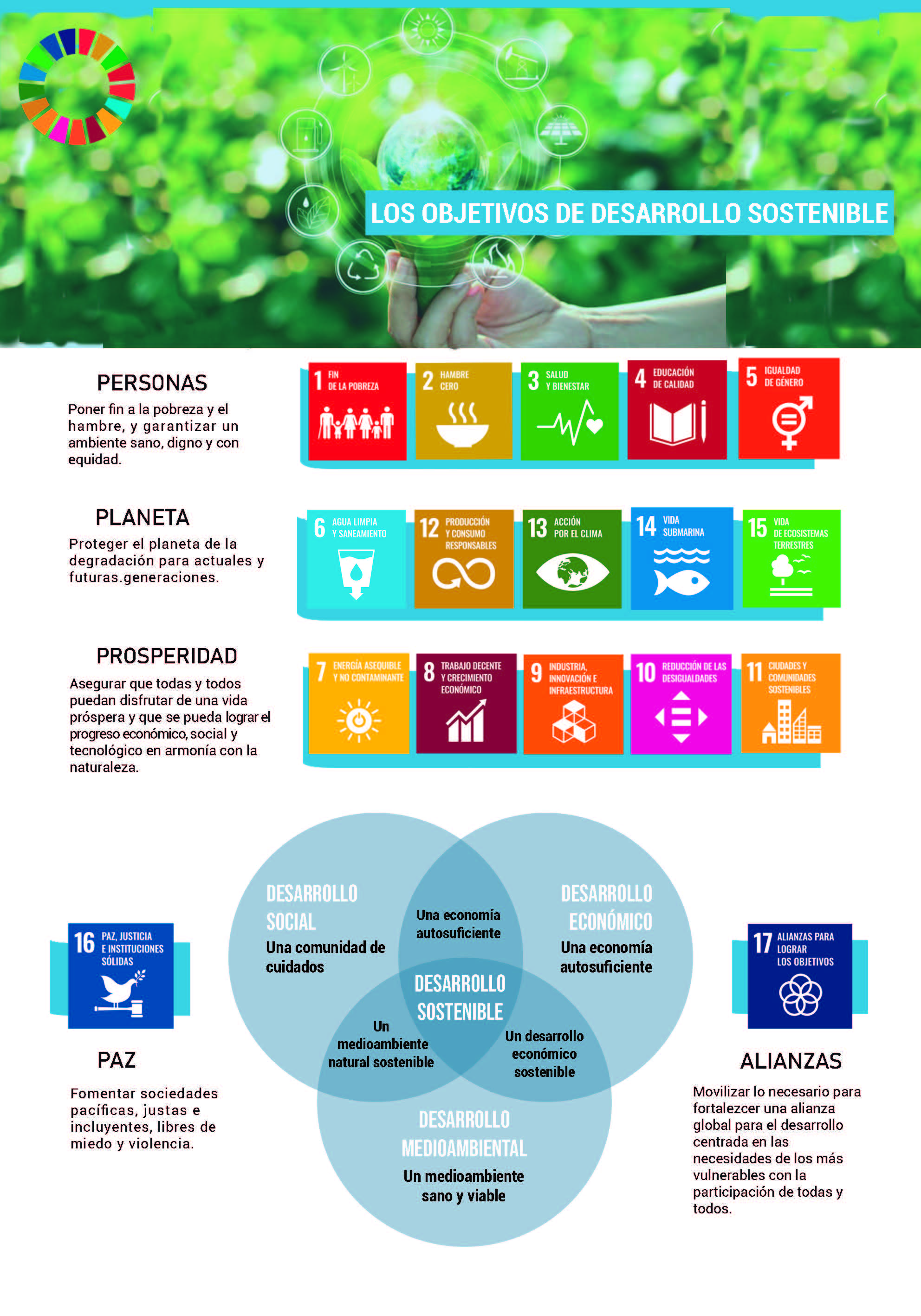 Los objetivos de desarrollo sostenible